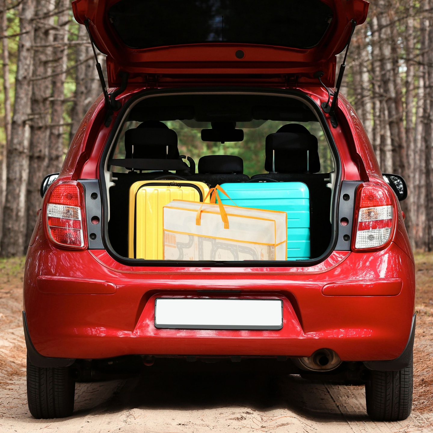 Двустранно сгъваема постелка от дунапрен 180 x 120 x 1cm - Magic Forest/Autumn Streets - boho