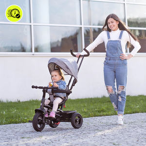 Триколка за деца от 1 до 4 години - TOBI FREY - сив цвят - въртяща се - помпени колела + бутало